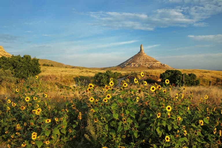 Chimney Rock in Nebraska, sunflowers in the foreground