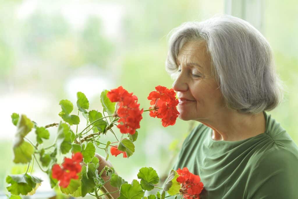 Senior woman smelling red flowers