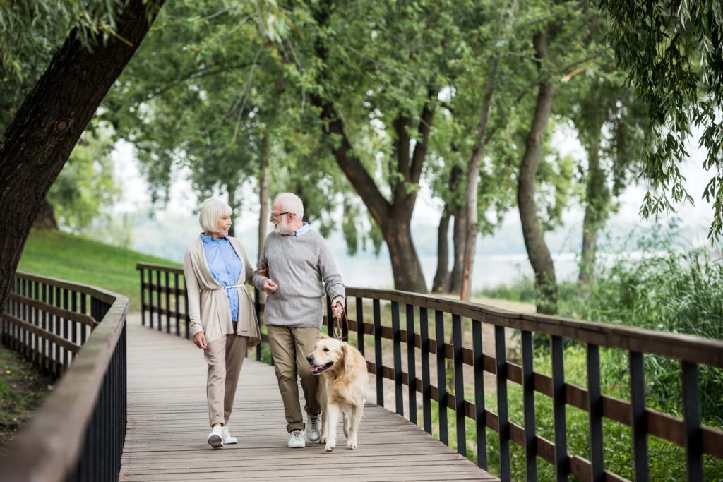 Senior couple walking in park with dog